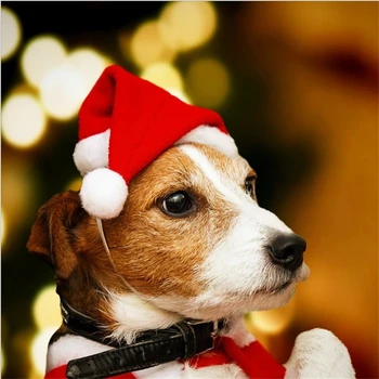 Božićno Šešir Djeda Mraza za pse, Mačke, Božićni pribor za kućne ljubimce, Prilagodljiva kapa, Svečani Božićni domjenak, Kapa, Novogodišnji Mali dar