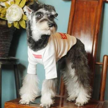 Super Odjeća za pse 2021 Topla rasprodaja Odjeća za kućne ljubimce za Male Pse Srednjih Pasa Moda Zima Prekrasan Jedinstveni Pulover Majica sa po cijeloj površini