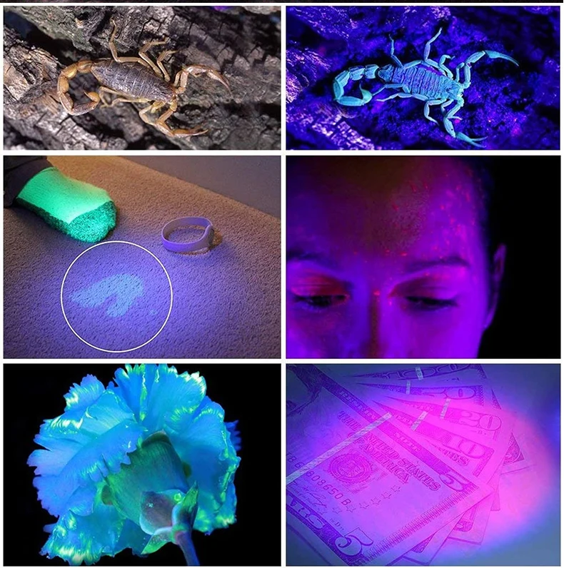 Led 365нм Prijenosni Prijenosni Crna Svjetla Detektor Urina kod životinja i mrlje Svjetla UV Uv Svjetiljku Baklja Svjetlost Slika  5
