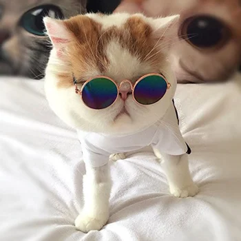 Mačje oči-nosite Sunčane naočale za kućne ljubimce Naočale za male pse Naočale za mačke Fotografije Rekvizite Pribor za pse i mačke Proizvode za kućne ljubimce