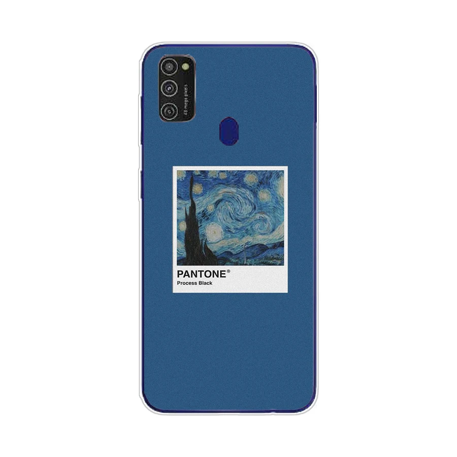 29AS Вингейт Vincent Van Gogh Panton Estetski umjetnost Silikonska torbica za Samsung Galaxy M11 M 11 M21 M 21 torbica funda Slika  0