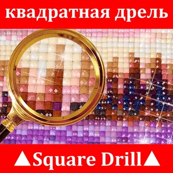 5D DIY diamond vez slatka rakun pun trg / okrugli diamond mozaik slikarstvo ukrasne osnovna diamond slikarstvo životinja XY1