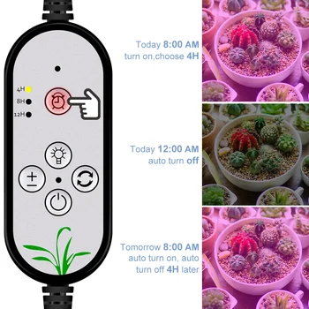 Led Фитолампы Full USB Za Uzgoj UV-biljke Lampa Za staklenici Sjeme Cvijeća Hidroponi Led Fito-lampa za uzgoj