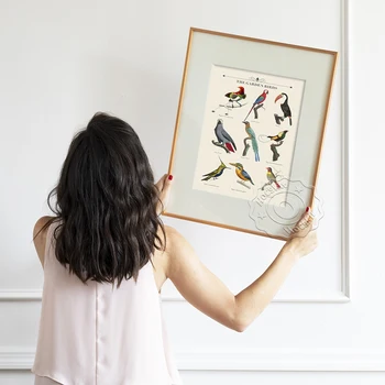Izložba Vrt ptica Zbirka Zidnih umjetničke принтов Plakat Ilustracija životinja Klasicni Slikarstvo na platnu Home Dekor Poklon Za Zagrijavanje