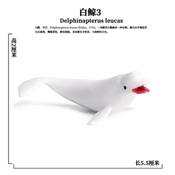 Morski Život Životinje Dupin, Rak Morski Pas Kornjača Model Figurice Likova Ocean Marine Aquarium Minijaturne Razvojne Igračke
